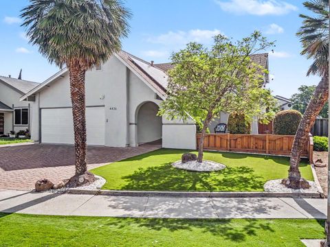 4436 Adragna Court SAN JOSE CA 95136
