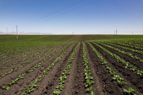 Tiny photo for SALINAS, CA 93907 (MLS # ML82057786)