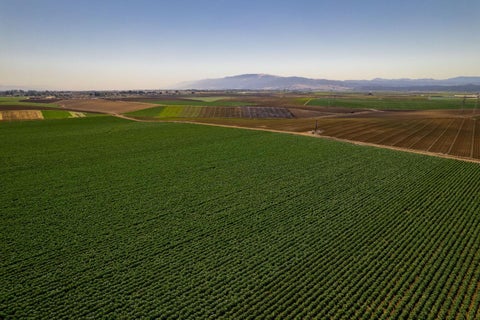Tiny photo for SALINAS, CA 93907 (MLS # ML82057786)