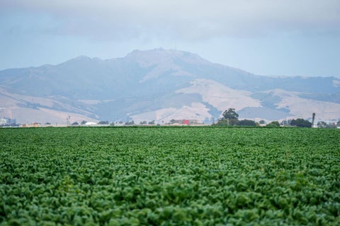 Tiny photo for SALINAS, CA 93907 (MLS # ML82057786)