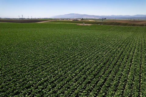 Tiny photo for SALINAS, CA 93907 (MLS # ML82057786)