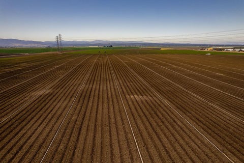Tiny photo for SALINAS, CA 93907 (MLS # ML82057786)