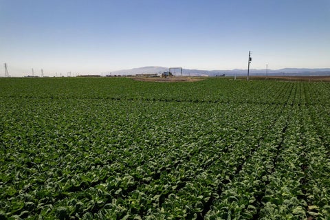 Tiny photo for SALINAS, CA 93907 (MLS # ML82057786)
