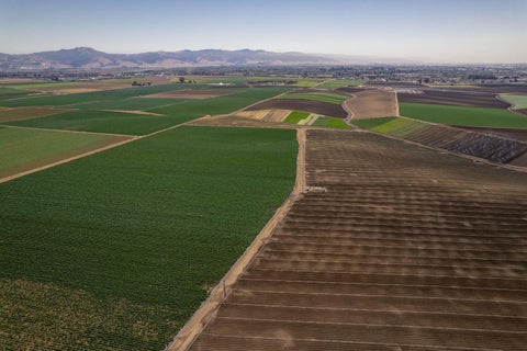 Tiny photo for SALINAS, CA 93907 (MLS # ML82057786)