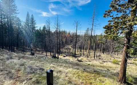 Tiny photo for 6330 Caldor Road, SOMERSET, CA 95684 (MLS # ML82035277)