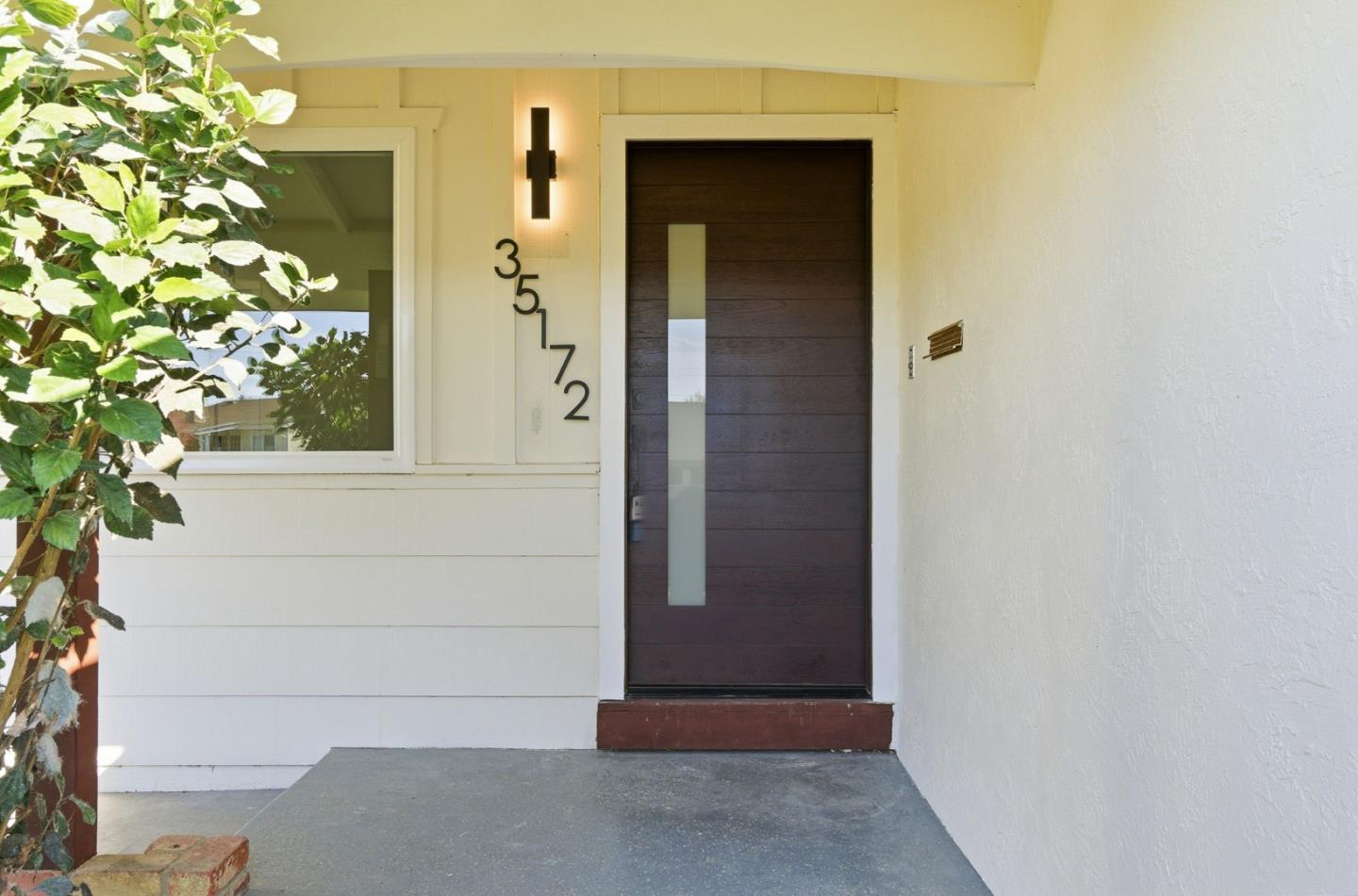 35172 Lancero Street