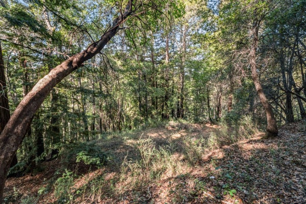 LOT 11 VOLVER AVENUE, FELTON, CA 95018 - Image ea30404dae1bdcb7ec9ebb12c91f9057/531167343
