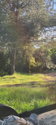10470 CHICHARRA CT, COULTERVILLE, CA 95311 - Image eb8e1bb68ff233381269ccdc2aea8fda/3973358727