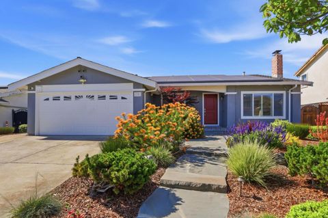 Photo of 1781 Penwood Street, SAN JOSE, CA 95133 (MLS # ML82045476)