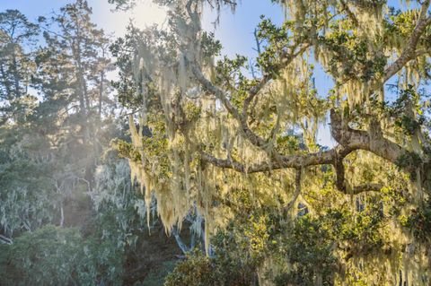 Tiny photo for 1100 Castro Road, MONTEREY, CA 93940 (MLS # ML82029129)