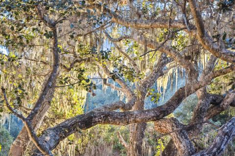 Tiny photo for 1100 Castro Road, MONTEREY, CA 93940 (MLS # ML82029129)