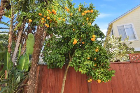 Tiny photo for 928 Wilks Street, EAST PALO ALTO, CA 94303 (MLS # ML82032913)