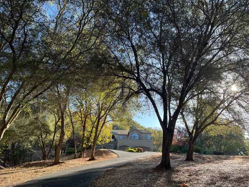 1190 Squirrel Creek Place