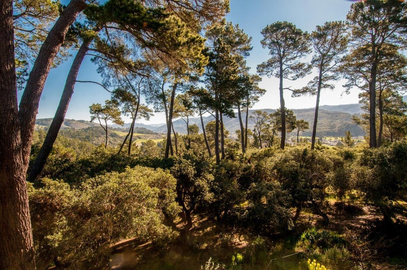 154 DEL MESA CARMEL