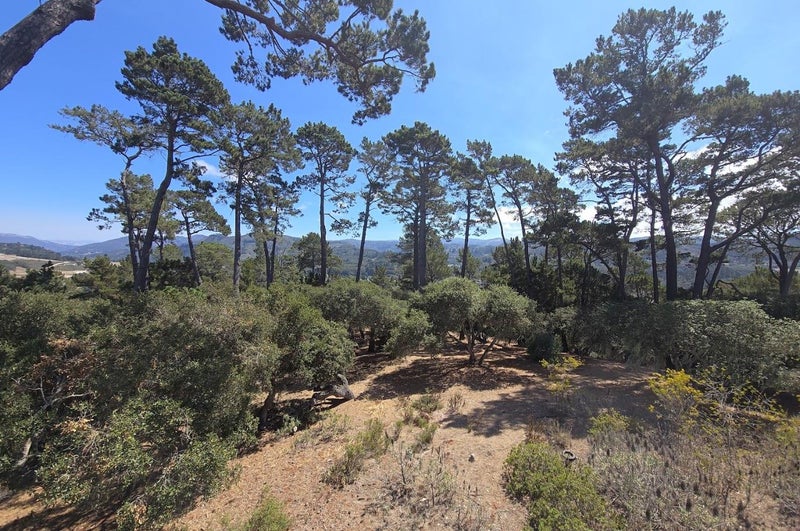 154 DEL MESA CARMEL