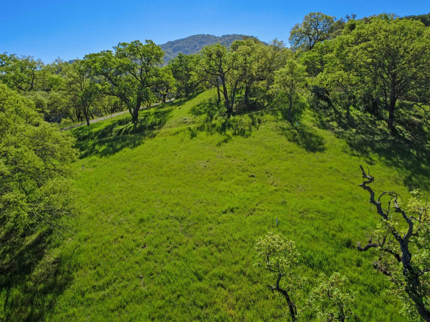 17556 Chesbro Lake Drive