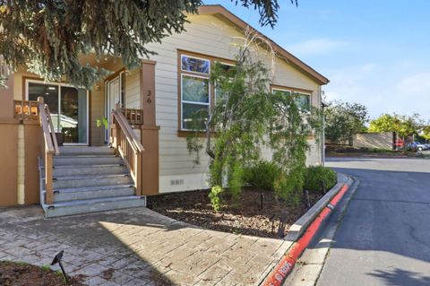 Tiny photo for 125 N Mary Avenue #36, SUNNYVALE, CA 94086 (MLS # ML82028275)
