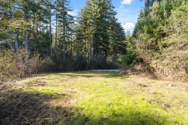 16470 JAMISON CREEK RD, BOULDER CREEK, CA 95006 - Image f20fd70aa922047a6dd059af3d2b4caa/1182410143