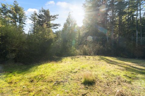 Tiny photo for 16470 Jamison Creek Road, BOULDER CREEK, CA 95006 (MLS # ML82029652)