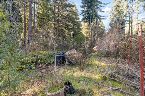 Tiny photo for 16470 Jamison Creek Road, BOULDER CREEK, CA 95006 (MLS # ML82029652)