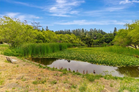 Tiny photo for 141 Recreation Drive, LA HONDA, CA 94020 (MLS # ML82055545)