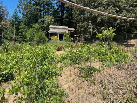 Tiny photo for 1385 Amaya Ridge Road, SOQUEL, CA 95073 (MLS # ML82033190)