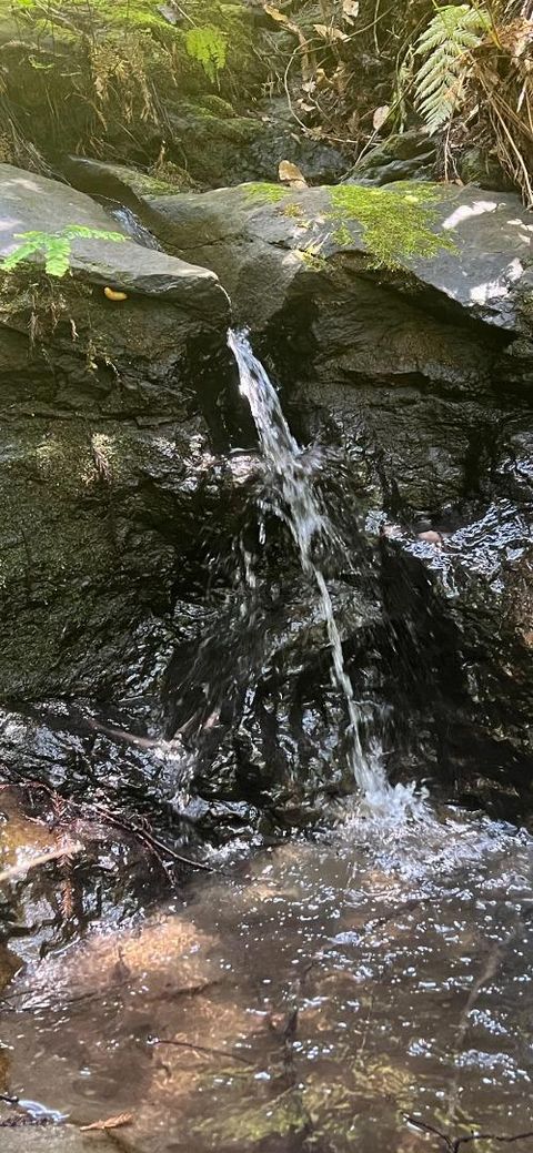 Tiny photo for 1385 Amaya Ridge Road, SOQUEL, CA 95073 (MLS # ML82033190)