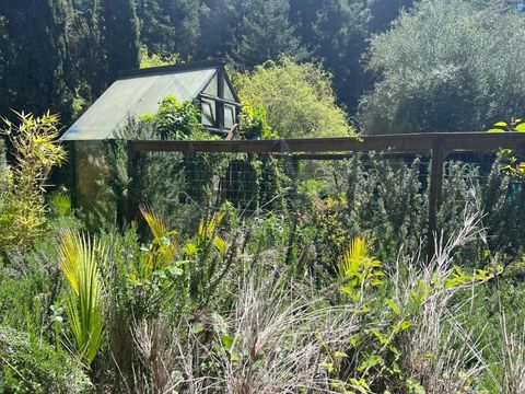 Tiny photo for 1385 Amaya Ridge Road, SOQUEL, CA 95073 (MLS # ML82033190)
