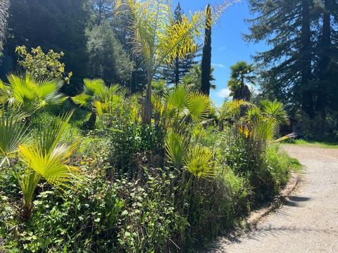 Tiny photo for 1385 Amaya Ridge Road, SOQUEL, CA 95073 (MLS # ML82033190)
