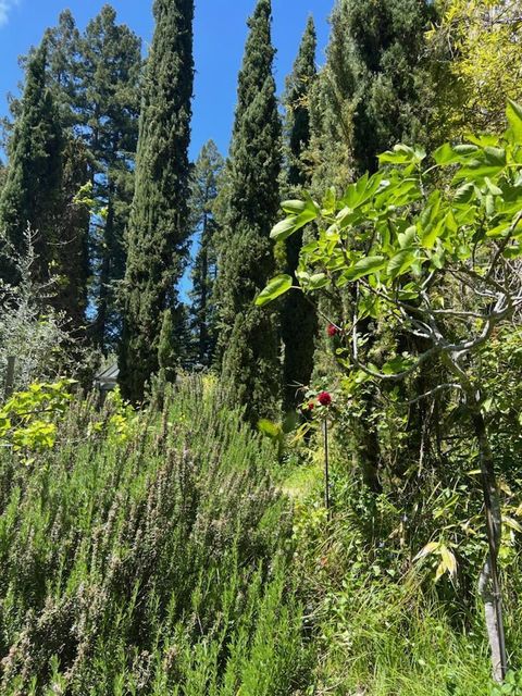 Tiny photo for 1385 Amaya Ridge Road, SOQUEL, CA 95073 (MLS # ML82033190)