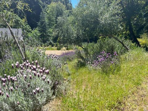 Tiny photo for 1385 Amaya Ridge Road, SOQUEL, CA 95073 (MLS # ML82033190)