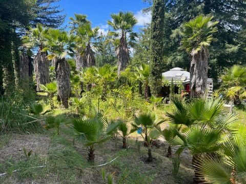 Tiny photo for 1385 Amaya Ridge Road, SOQUEL, CA 95073 (MLS # ML82033190)