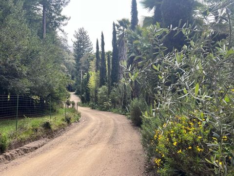 Tiny photo for 1385 Amaya Ridge Road, SOQUEL, CA 95073 (MLS # ML82033190)