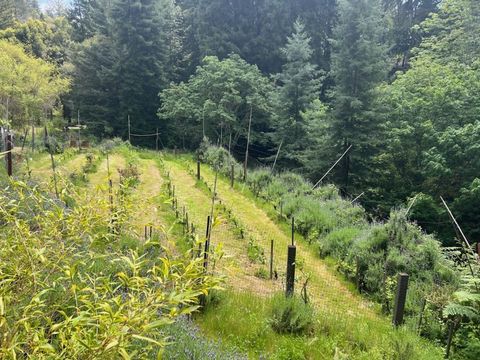 Tiny photo for 1385 Amaya Ridge Road, SOQUEL, CA 95073 (MLS # ML82033190)