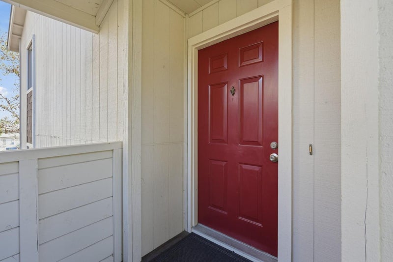 3833 Panda Drive