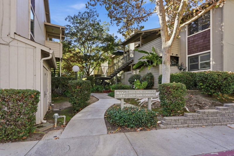 3833 Panda Drive