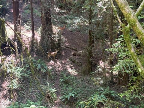 Tiny photo for 584 Hazel Dell Road, CORRALITOS, CA 95076 (MLS # ML82029617)