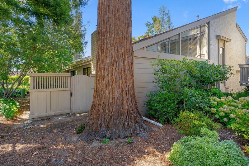 19626 Vineyard Lane