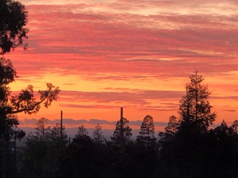 Tiny photo for 7742 Kilmarnok Drive, SAN JOSE, CA 95135 (MLS # ML82025264)