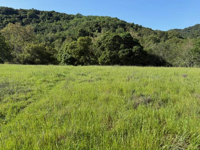 00 Cinnabar Hills Road