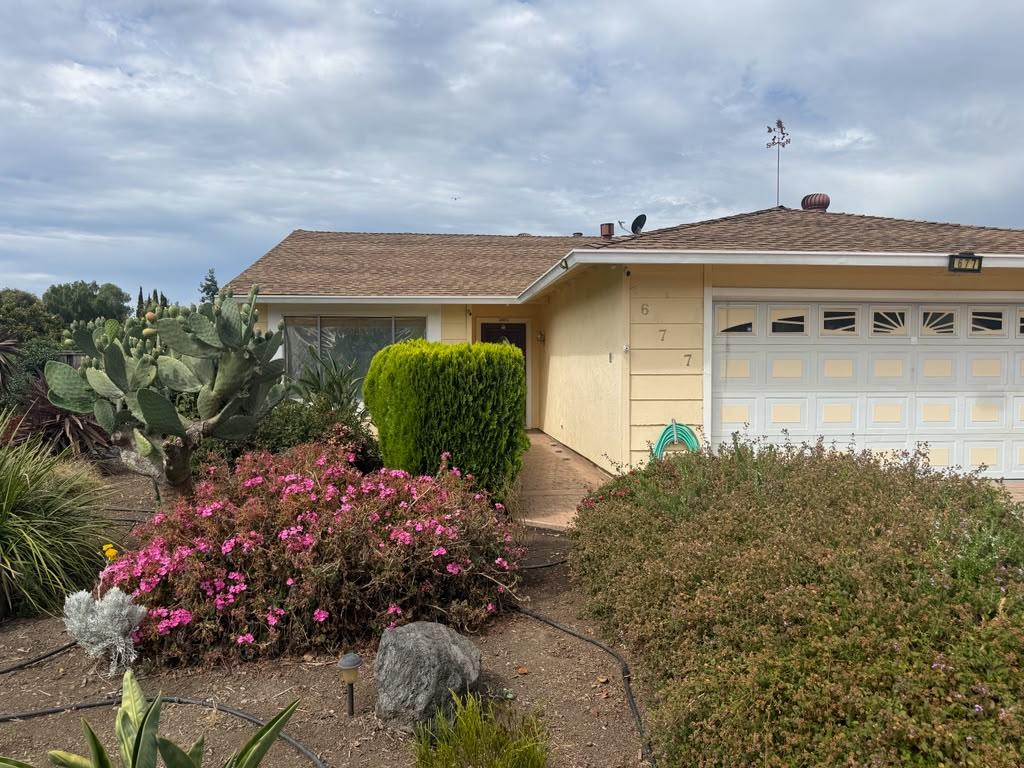 677 Lava Way