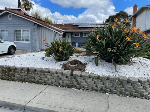 Photo of 1260 Glacier Drive, MILPITAS, CA 95035 (MLS # ML82034844)