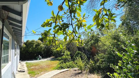 Tiny photo for 10460 Davison Avenue, CUPERTINO, CA 95014 (MLS # ML82053756)