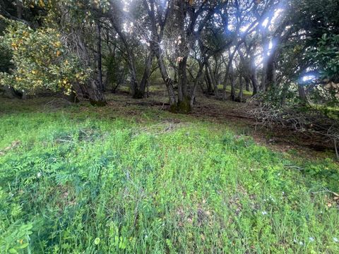 Tiny photo for 5390 Little Uvas Road, MORGAN HILL, CA 95037 (MLS # ML82002192)