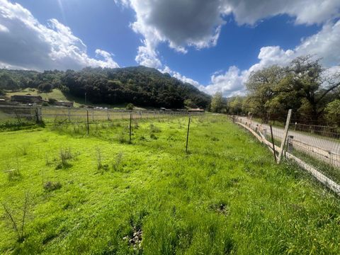 Tiny photo for 5390 Little Uvas Road, MORGAN HILL, CA 95037 (MLS # ML82002192)