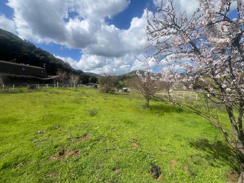 Tiny photo for 5390 Little Uvas Road, MORGAN HILL, CA 95037 (MLS # ML82002192)