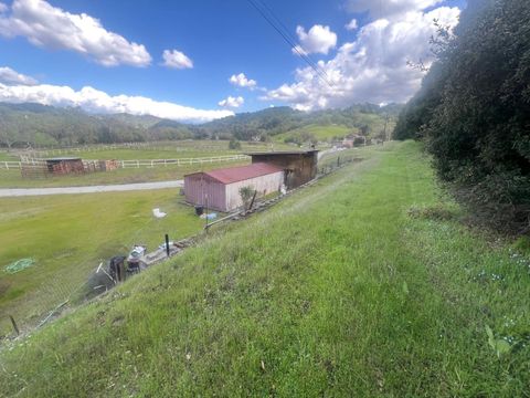 Tiny photo for 5390 Little Uvas Road, MORGAN HILL, CA 95037 (MLS # ML82002192)