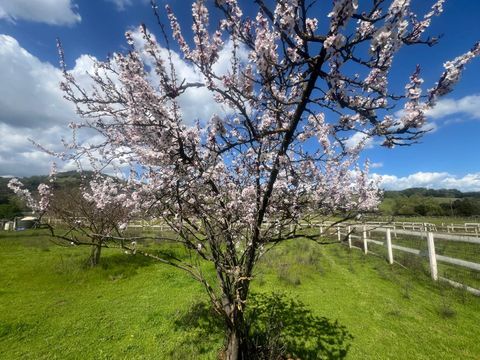 Tiny photo for 5390 Little Uvas Road, MORGAN HILL, CA 95037 (MLS # ML82002192)
