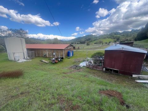 Tiny photo for 5390 Little Uvas Road, MORGAN HILL, CA 95037 (MLS # ML82002192)