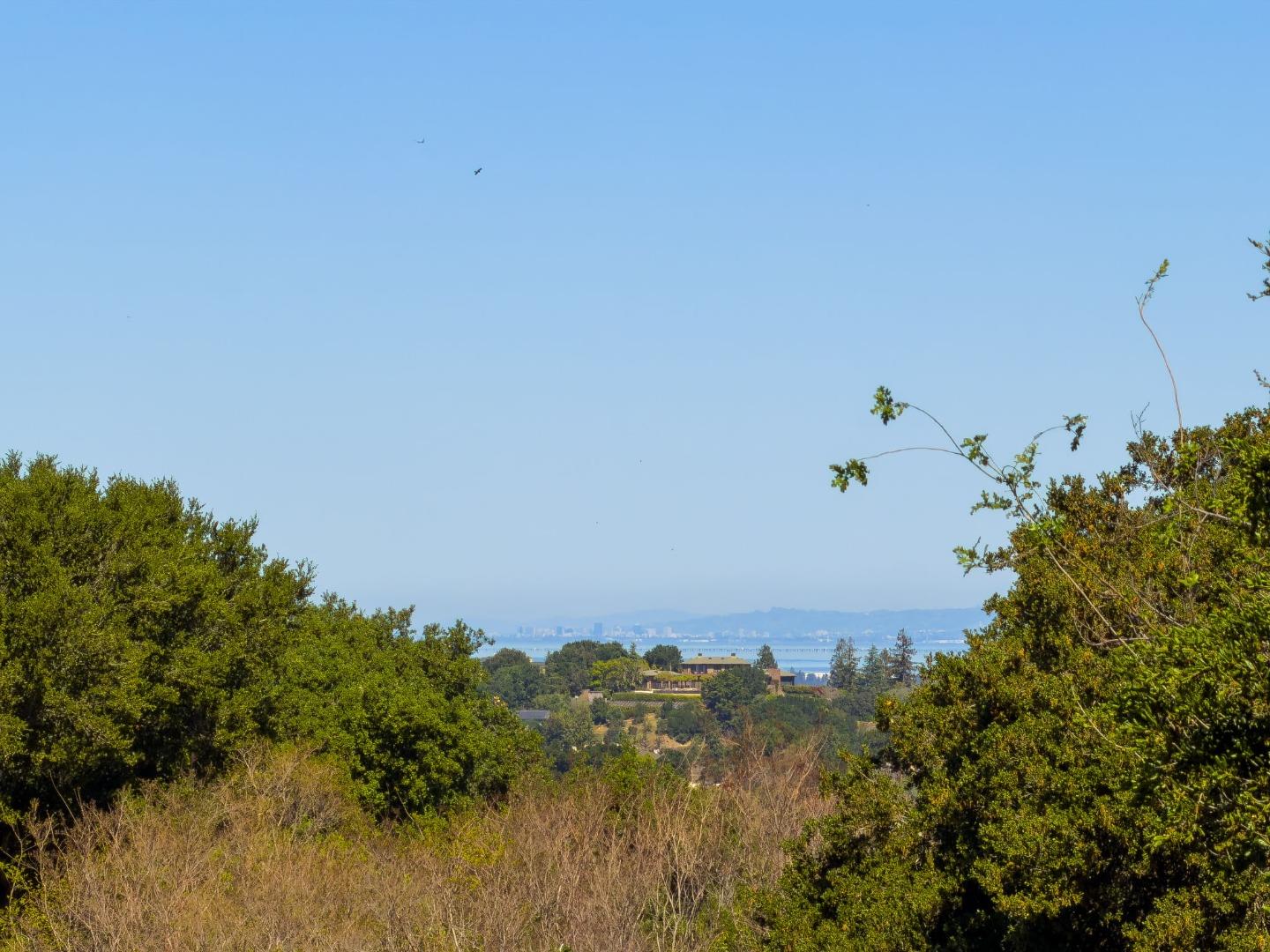 24855 Prospect Avenue